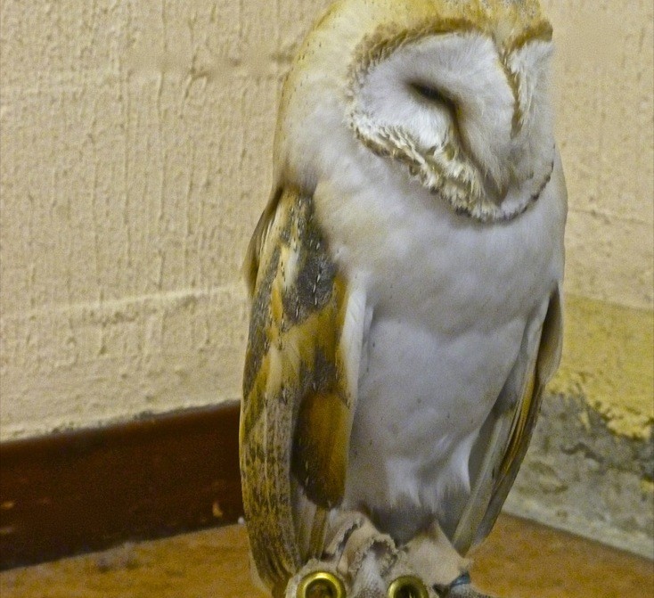 P1000822